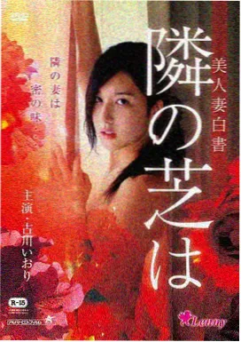 玻璃城谜案 封面